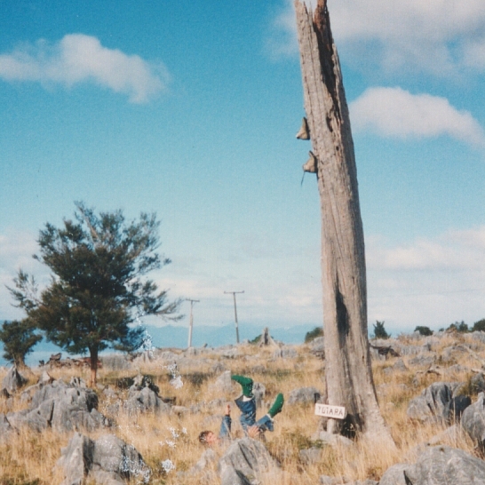 4. David after drinking kiwifruit wine