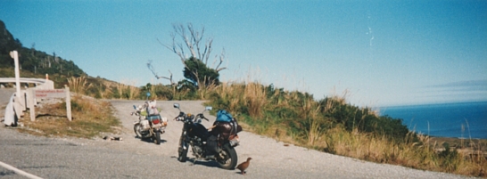 12. roadside