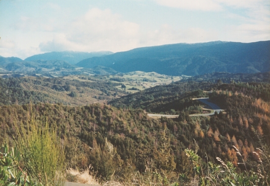 5. the open road